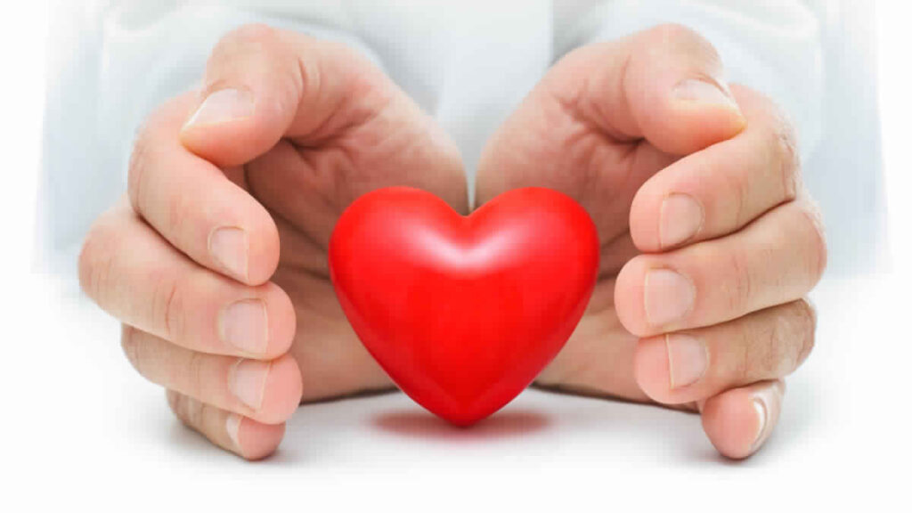 Hands gently hoalding a red heart symbolizing heart care and protection, representing Dr. Jai Bhagwan Dhull commitment to preventive cardiology and heart health.