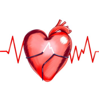 Illustration of a human heart wrapped in ECG lines, symbolizing cardiac care and intervention, representing the expertise of Dr. Jai Bhagwan Dhull, Cardiothoracic & Vascular Surgeon.