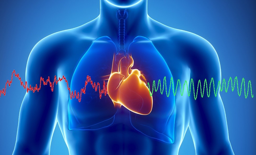 Blue-toned medical illustration of an upper torso showing transparent lungs and a glowing orange heart at the center, with an overlaid red and then green waveform passing through—visually representing heart rate variability.