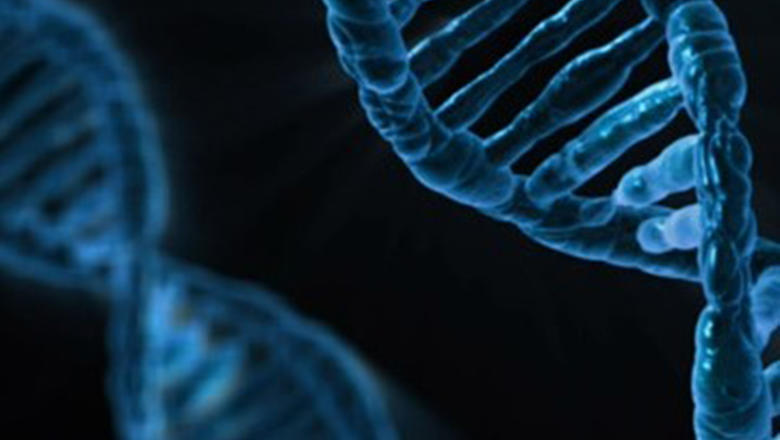 Close-up image of a DNA double helix strand, representing genetic research and advancements in personalized medicine—highlighting Dr. Jai Bhagwan Dhull’s commitment to integrating genetic insights into cardiothoracic and vascular treatment strategies.
