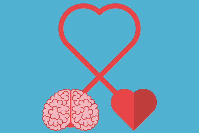 Illustration of a brain and a heart connected by a continuous red line forming a larger heart shape, symbolizing the strong connection between emotional well-being and cardiovascular health—reflecting Dr. Jai Bhagwan Dhull’s holistic approach to heart care.