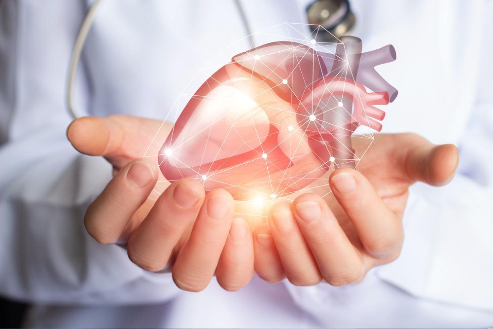Doctor holding a 3D digital hologram of a human heart, symbolizing advanced cardiac care and medical innovation.
