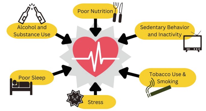 Diagram of risk factors for heart health. A heart with a heartbeat line is in the center, with arrows pointing from six factors: alcohol and substance use, poor nutrition, sedentary behavior and inactivity, tobacco use and smoking, stress, and poor sleep.