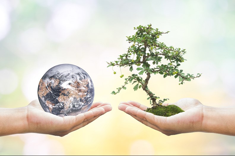 Two hands holding symbols of nature and the environment: one hand holds a miniature Earth globe, and the other holds a small tree growing from soil, against a blurred light background.