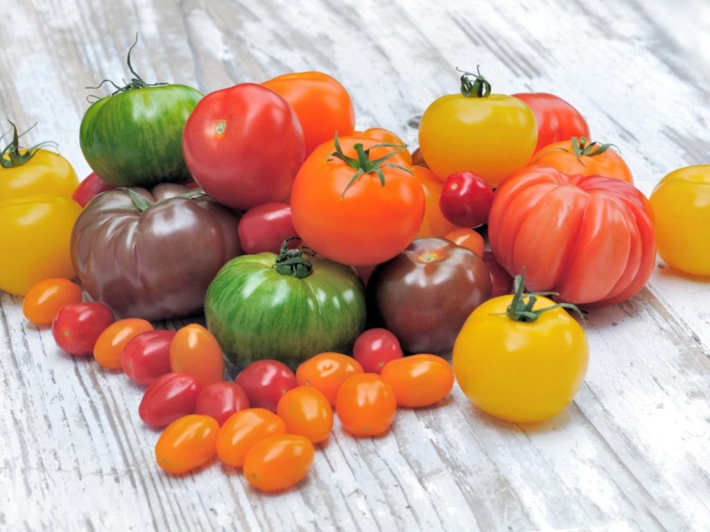 Fresh assortment of colorful tomatoes in red, yellow, green, orange, and purple shades displayed on a rustic white wooden surface, promoting healthy eating and wellness guidance by Dr. Jai Bhagwan Dhull